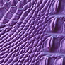 Cosmic Purple Melbourne swatch