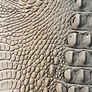 Fossilized Ombre Melbourne swatch
