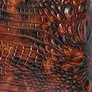Tortoiseshell Melbourne swatch