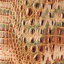 Earthbound Melbourne swatch