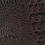 Chocolate Alden Road swatch