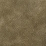 Softgrass Grassland swatch