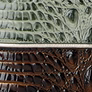 Softgrass Northway swatch