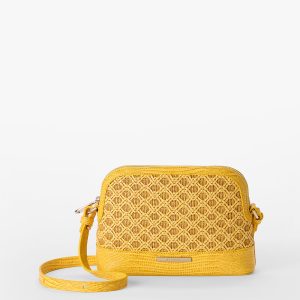 Amal