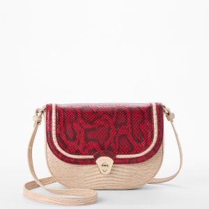 Salsa Braga swatch