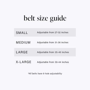 Medium Gold Buckle Belt