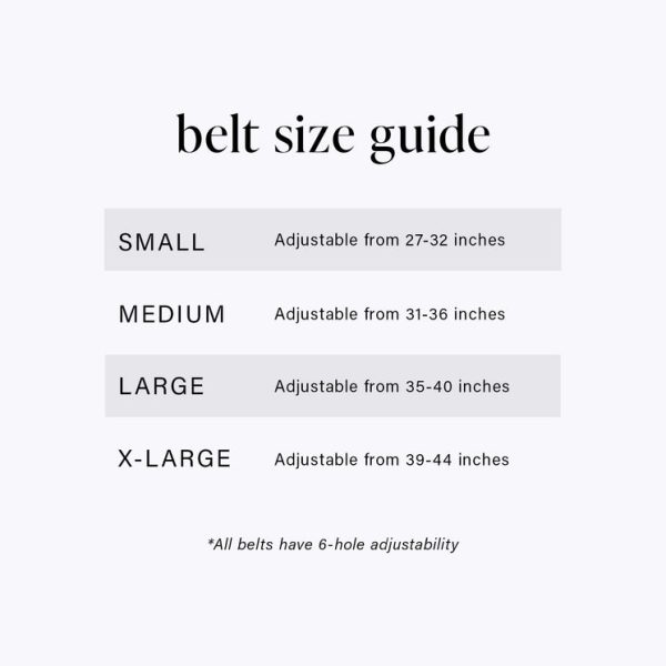 Medium Gold Buckle Belt
