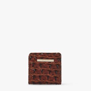 Pecan Melbourne swatch