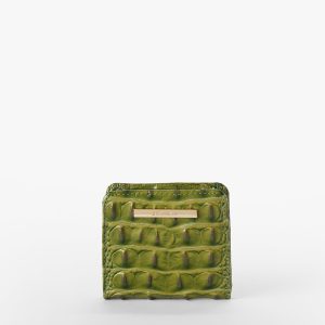 Olive Ombre Melbourne swatch