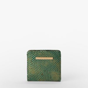 Dark Green Valley swatch
