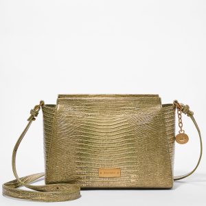 Olive Bachata swatch
