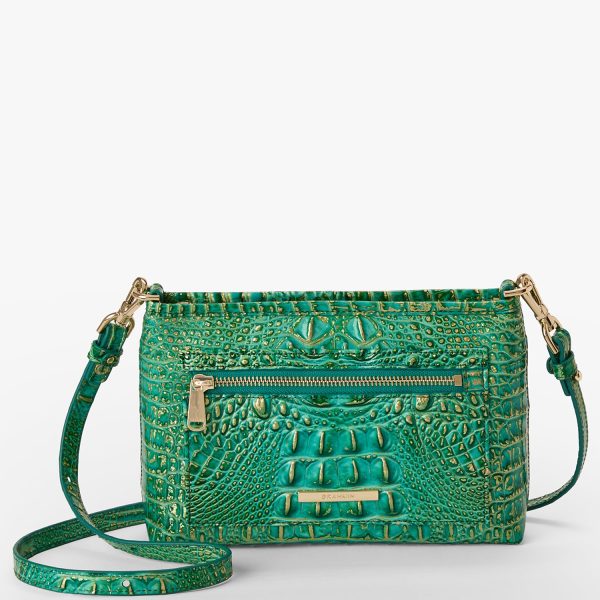 Vida