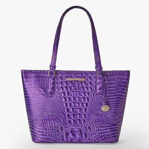 Medium Asher