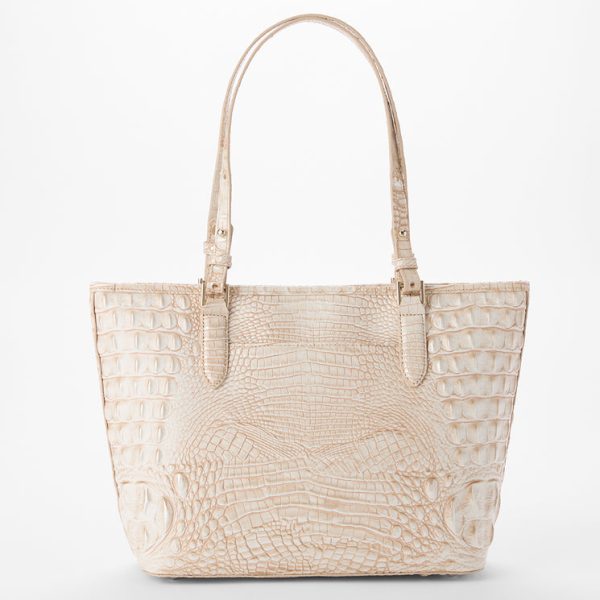 Medium Asher